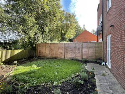 Picture 18